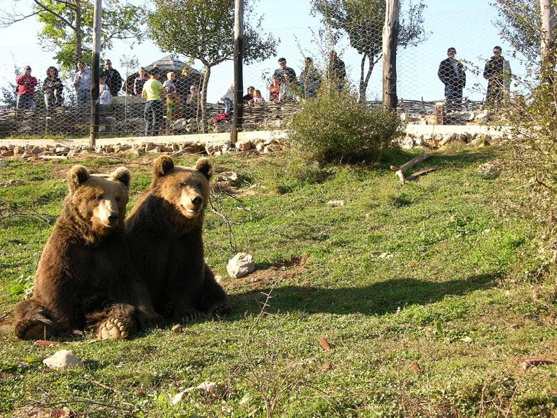 Das Schutzgebiet für junge Bären im Velebit